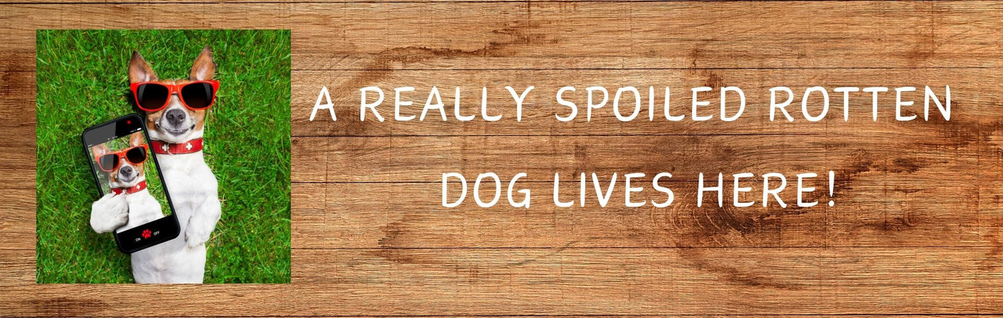 Wall Signs - Dog Themed A REALLY SPOILED ROTTEN DOG LIVES HERE