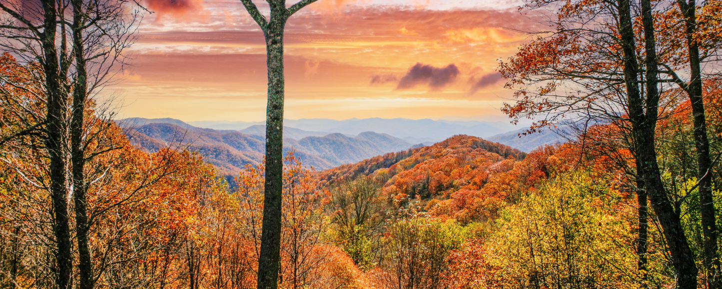 Location Customizable Magnet - Mountain Backgrounds FALL SMOKEY MOUNTAINS