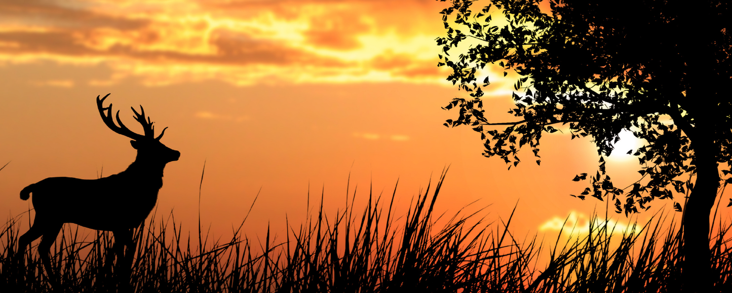 Location Customizable Magnet - Animal Backgrounds DEER AT SUNSET
