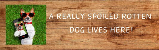 Wall Signs - Dog Themed A REALLY SPOILED ROTTEN DOG LIVES HERE