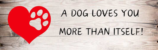 Wall Signs - Dog Themed A DOG LOVES YOU MORE THAN ITSELF