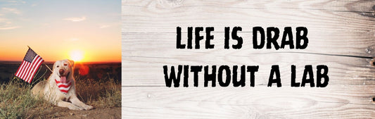Wall Signs - Dog Themed LIFE IS DRAB WITHOUT A LAB (LAB FLAG)