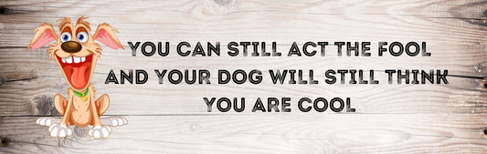 Wall Signs - Dog Themed YOU CAN STILL ACT THE FOOL AND YOUR DOG WITH STILL THINK YOU ARE COOL