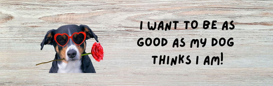 Wall Signs - Dog Themed I WANT TO BE AS GOOD AS MY DOG THINKS I AM