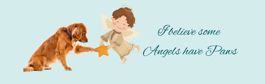 Wall Signs - Dog Themed I BELIEVE SOME ANGELS HAVE PAWS (ANGEL)