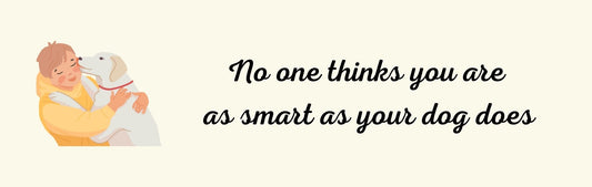 Wall Signs - Dog Themed NO ONE THINKS YOU ARE AS SMART AS YOUR DOG DOES