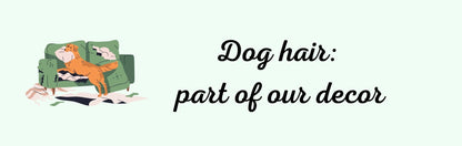 Wall Signs - Dog Themed DOG HAIR: PART OF OUR DÉCOR