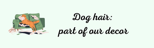 Wall Signs - Dog Themed DOG HAIR: PART OF OUR DÉCOR
