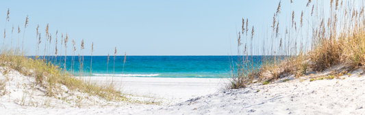 Location Customizable Mini Thin - Beach Backgrounds GRASSY BEACH