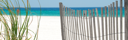 Location Customizable Wall Signs - Beach Backgrounds SEASHELLS LIGHT