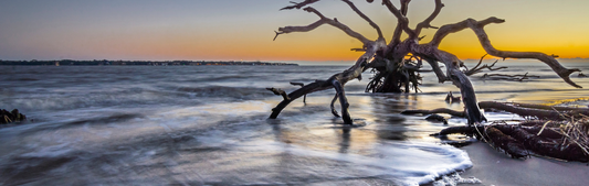 Location Customizable Mini Thin - Island Backgrounds DRIFTWOOD