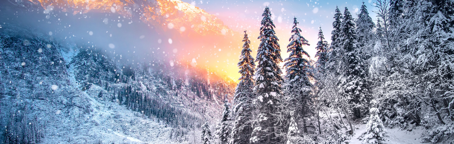 Location Customizable Mini Shelf Sitter - Christmas Backgrounds SNOWY MOUNTAIN TREES