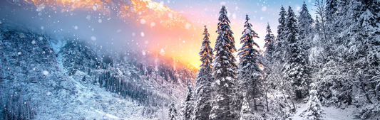 Location Customizable Mini Shelf Sitter - Christmas Backgrounds SNOWY MOUNTAIN TREES