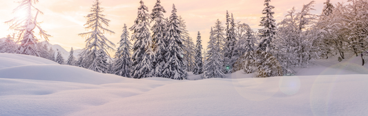Location Customizable Mini Thin - Christmas Backgrounds SNOWY SMOKEY MOUNTAINS