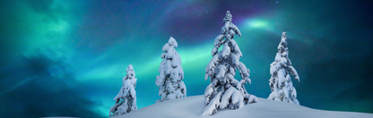 Location Customizable Mini Shelf Sitter - Christmas Backgrounds SNOW AND NORTHERN LIGHTS