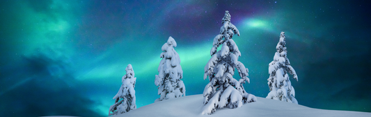 Location Customizable Mini Shelf Sitter - Christmas Backgrounds SNOW AND NORTHERN LIGHTS