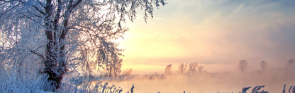 Location Customizable Mini Shelf Sitter - Christmas Backgrounds SNOWY LAKE