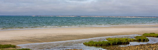 Location Customizable Mini Thin - Beach Backgrounds ISLAND PEBBLES GRASS