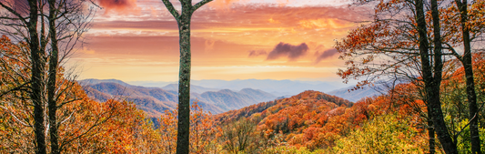 Location Customizable Wall Signs - Mountain Backgrounds FALL SMOKEY MOUNTAINS