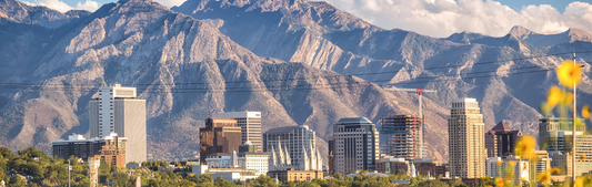 Location Customizable Mini Thin - Mountain Backgrounds CITY WITH MOUNTAINS