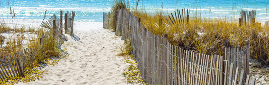 Location Customizable Mini Thin - Beach Backgrounds BEACH PATH WITH FENCE