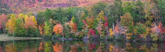 Location Customizable Wall Signs - Lakes Backgrounds LAKE WITH FALL TREES