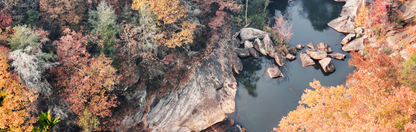 Location Customizable Mini Thin - Lake Backgrounds FALL TREES WITH RIVER