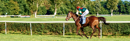 Location Customizable Mini Thin - Miscellaneous Backgrounds HORSE WITH JOCKEY