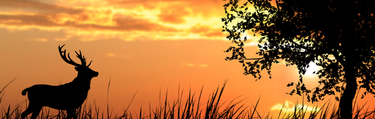Location Customizable Wall Thin - Animal Backgrounds DEER AT SUNSET