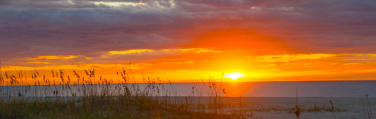 Location Customizable Mini Thin - Beach Backgrounds ISLAND GRASS & SUNSET