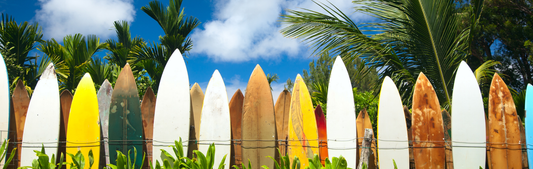 Location Customizable Wall Signs - Water Sports Backgrounds SURFBOARDS