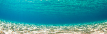 Location Customizable Mini Shelf Sitter - Ocean Backgrounds UNDERWATER