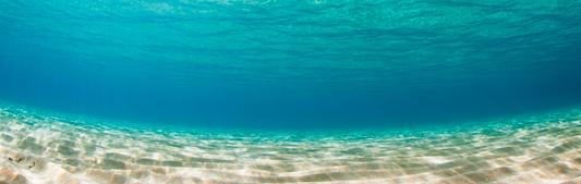 Location Customizable Wall Signs - Ocean Backgrounds UNDERWATER