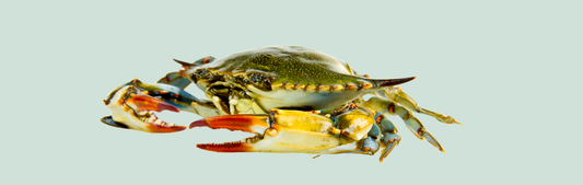 Location Customizable Wall Signs - Ocean Backgrounds REAL BLUE CRAB