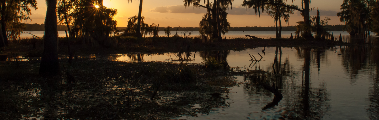 Location Customizable Mini Thin - Miscellaneous Backgrounds SWAMP SUNSET