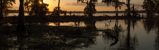 Location Customizable Wall Thin - Miscellaneous Backgrounds SWAMP SUNSET