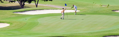Location Customizable Mini Shelf Sitter - Golf Backgrounds GOLF SWING