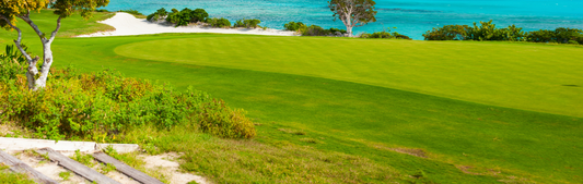 Location Customizable Wall Thin - Golf Backgrounds GOLF ON THE GREEN