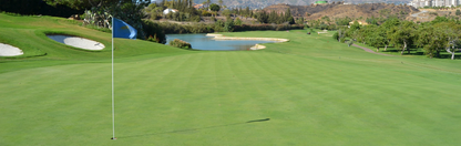 Location Customizable Mini Shelf Sitter - Golf Backgrounds GOLF WATER HAZARD