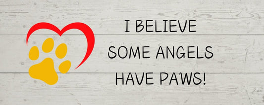 Magnet - Dog Theme I BELIEVE SOME ANGELS HAVE PAWS (PAW)
