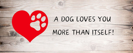 Magnet - Dog Theme A DOG LOVES Y OU MORE THAN ITSELF