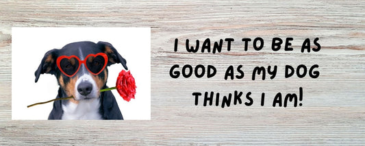 Magnet - Dog Theme I WANT TO BE AS GOOD AS MY DOG THINKS I AM