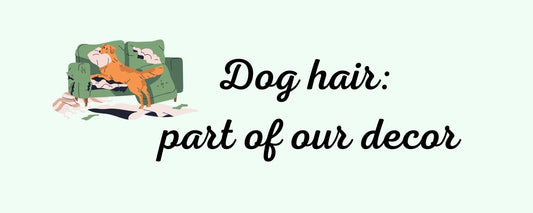 Magnet - Dog Theme DOG HAIR: PART OF OUR DÉCOR