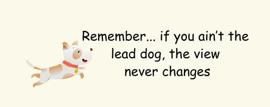 Magnet - Dog Theme REMEMBER…IF YOU AIN'T THE LEAD DOG. THE VIEW NEVER CHANGES