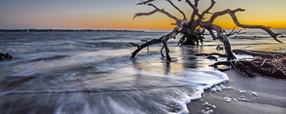 Location Customizable Magnet - Island Backgrounds DRIFTWOOD