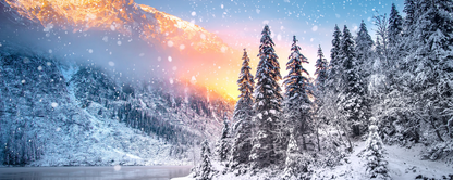 Location Customizable Magnet - Christmas Backgrounds SNOWY MOUNTAIN TREES