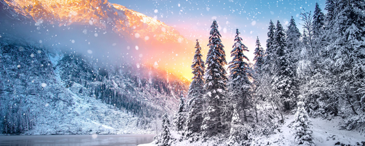 Location Customizable Magnet - Christmas Backgrounds SNOWY MOUNTAIN TREES