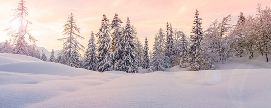 Location Customizable Magnet - Christmas Backgrounds SNOWY SMOKEY MOUNTAINS