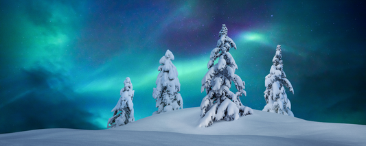 Location Customizable Magnet - Christmas Backgrounds SNOW AND NORTHERN LIGHTS