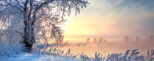 Location Customizable Magnet - Christmas Backgrounds SNOWY LAKE